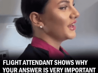 Flight Attendant Explains Why Your Answer is Very Important When They Greet You When Boarding a Plane