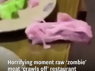 Horrifying moment raw ‘zombie’ meat ‘crawls off’ restaurant customer’s plate as people scream