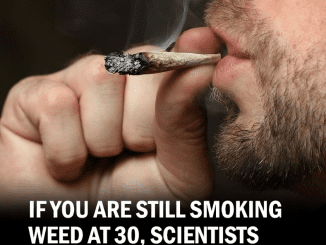 If You’re Still Smoking Weed at 30, Scientists Have Bad News