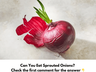 Can You Eat Sprouted Onions?