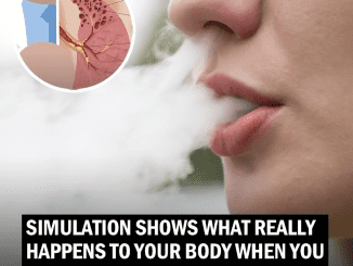 Shocking Simulation Reveals What Happens To Your Body When You Inhale Smoke From a Vape