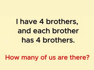 How Many Brothers Are There?