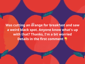 Is it safe to eat the black stuff inside oranges when you cut them open?