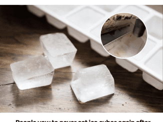 People vow to never eat ice cubes again after learning how they are actually made