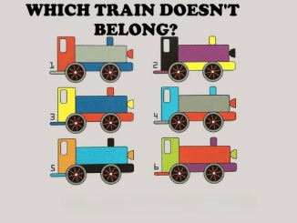 Test Your Observation Skills: Find the Mismatched Train!