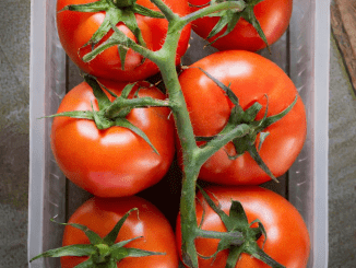 How to properly store tomatoes so they last a really long time