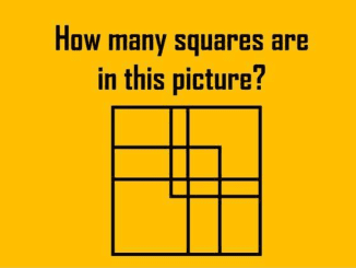 Mind-Bending Puzzle: The True Number of Squares Revealed