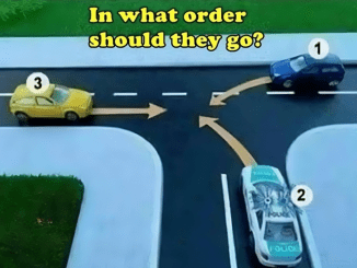 The Traffic Test You Didn’t Expect: Can You Solve This Right-of-Way Challenge?