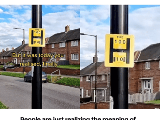 People are just realizing the meaning of mysterious ‘H’ on lampposts