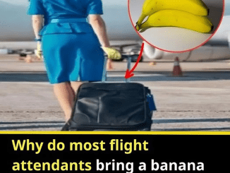 Most Flight Attendants Bring Bananas On Planes? Turns Out They’re Here To Do This