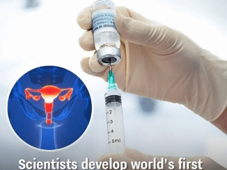 Scientists develop world’s first ovarian cancer vaccine that ‘could wipe the disease out’