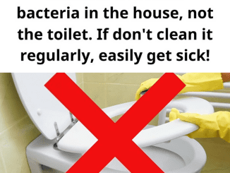 Not the toilet, this is the place with the most bacteria in the house, experts advise regular cleaning to avoid ‘inviting’ more diseases into the body