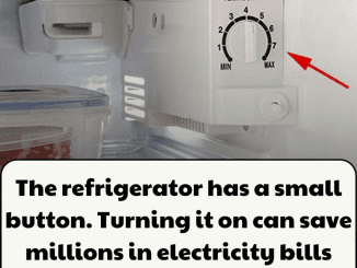 The Refrigerator’s Hidden Button: A Simple Switch to Save Millions on Electricity Bills