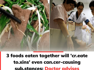 3 foods eaten together will ‘create toxins’ even cancer-causing substances: Doctor advises avoiding them