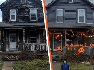 Boy Decorates the House of a Lonely Old Lady for Halloween to Convince Her That the Holiday Is Worth Celebrating – Story of the Day