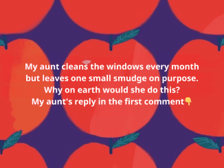 My aunt cleans the windows every month but leaves one small smudge on purpose. Why on earth would she do this?