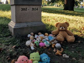 Every Day after 21-Year-Old Son’s Death, Grieving Mom Finds Baby Toys on His Grave — Story of the Day