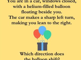 Balloon Direction Puzzle