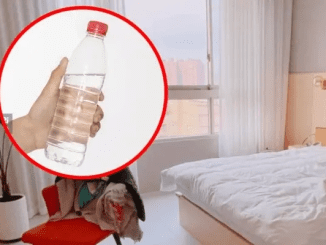 You should throw a bottle of water under the hotel bed as soon as you check in – Here’s why