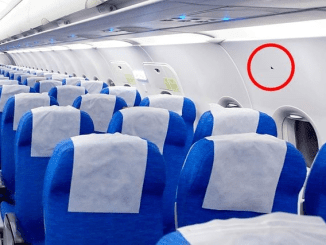 What Those Triangular Stickers on Your Airplane Seat Mean