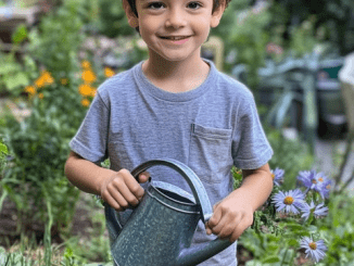 Boy Promises to Water Old Lady’s Plants after She Moves to Nursing Home, Finds Note Left in Soil – Story of the Day