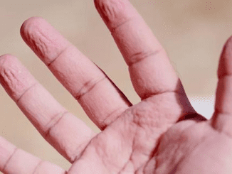 Ever wonder why our fingers get all wrinkly after hanging out in water for too long