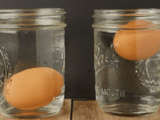 Nana had the easiest trick to tell if an egg was fresh or not. Here’s how it worked