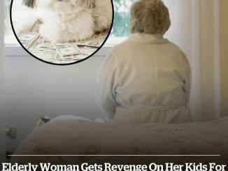 Elderly woman gets revenge on her kids for ‘never visiting’ by leaving her .8 million fortune to her dogs and cats instead