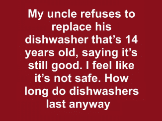 How long do dishwashers last anyway