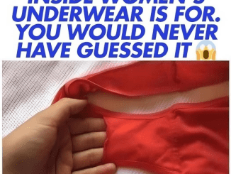 Underwear expert shares real reason why ‘knicker pockets’ exist