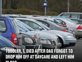 Toddler, 1, died after dad forgot to drop him off at daycare and left him in car