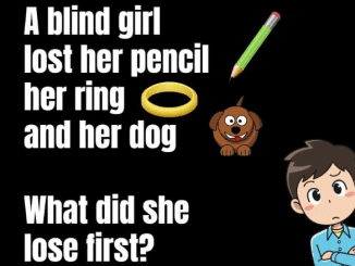 A blind girl lost her pencil riddle answer