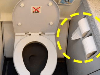 Flight attendant reveals why you should never use toilet paper on an airplane