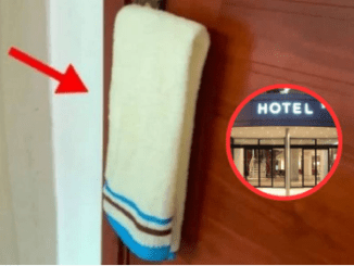 Revealed: Wet towels must be hung on hotel door handles because…