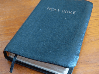 Old Lady Disinherits Grandson, Leaves Him Only a Bible & Note Saying, ‘Open It When It’s Hard’ – Story of the Day