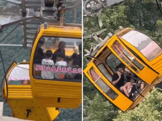 Cable car door opens during operation, 34-year-old female tourist fell into the abyss