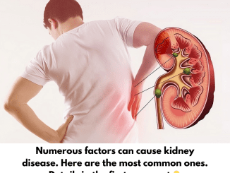 Numerous factors can cause kidney disease. Here are the most common ones.