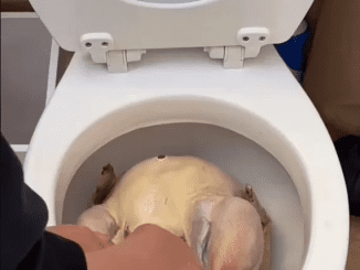 Woman criticized for seasoning raw turkey in toilet bowl for Thanksgiving